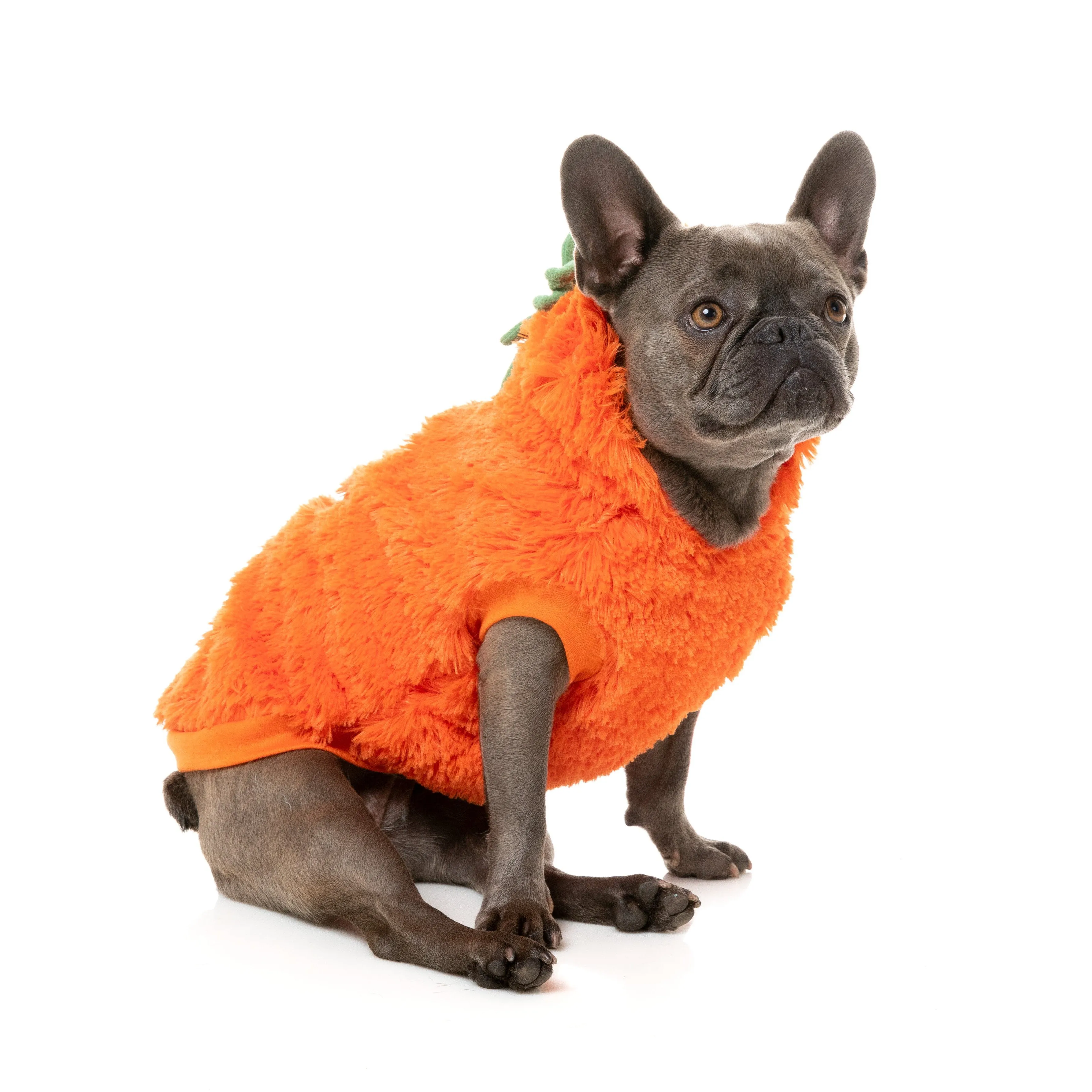 FuzzYard Halloween Dog Apparel Pumpkin Head Hoodie Size 7